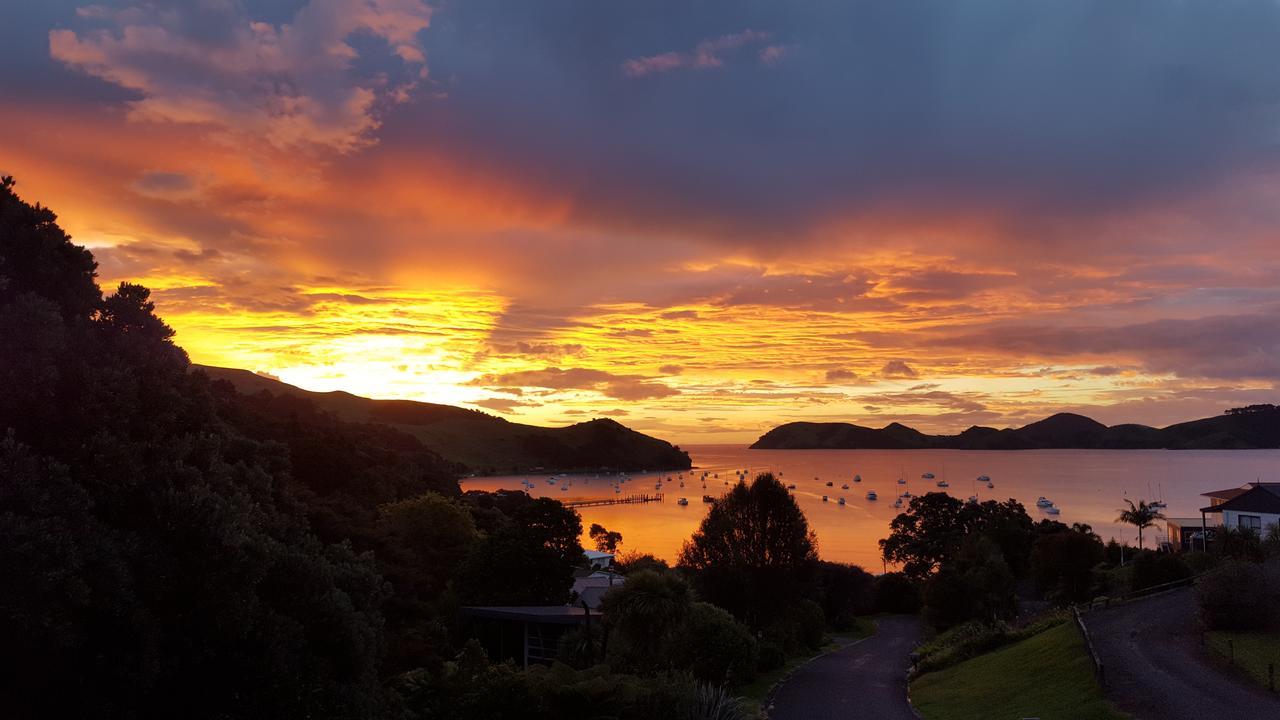 Coromandel Bird Haven Bed & Breakfast エクステリア 写真